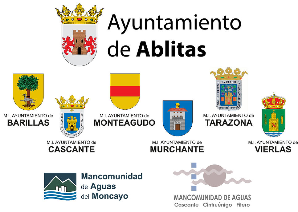 AYUNTAMIENTOS 2020-01.jpg